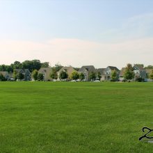 Decora Park