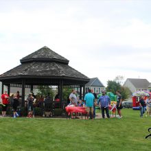 Decora Park HOA Summer Party